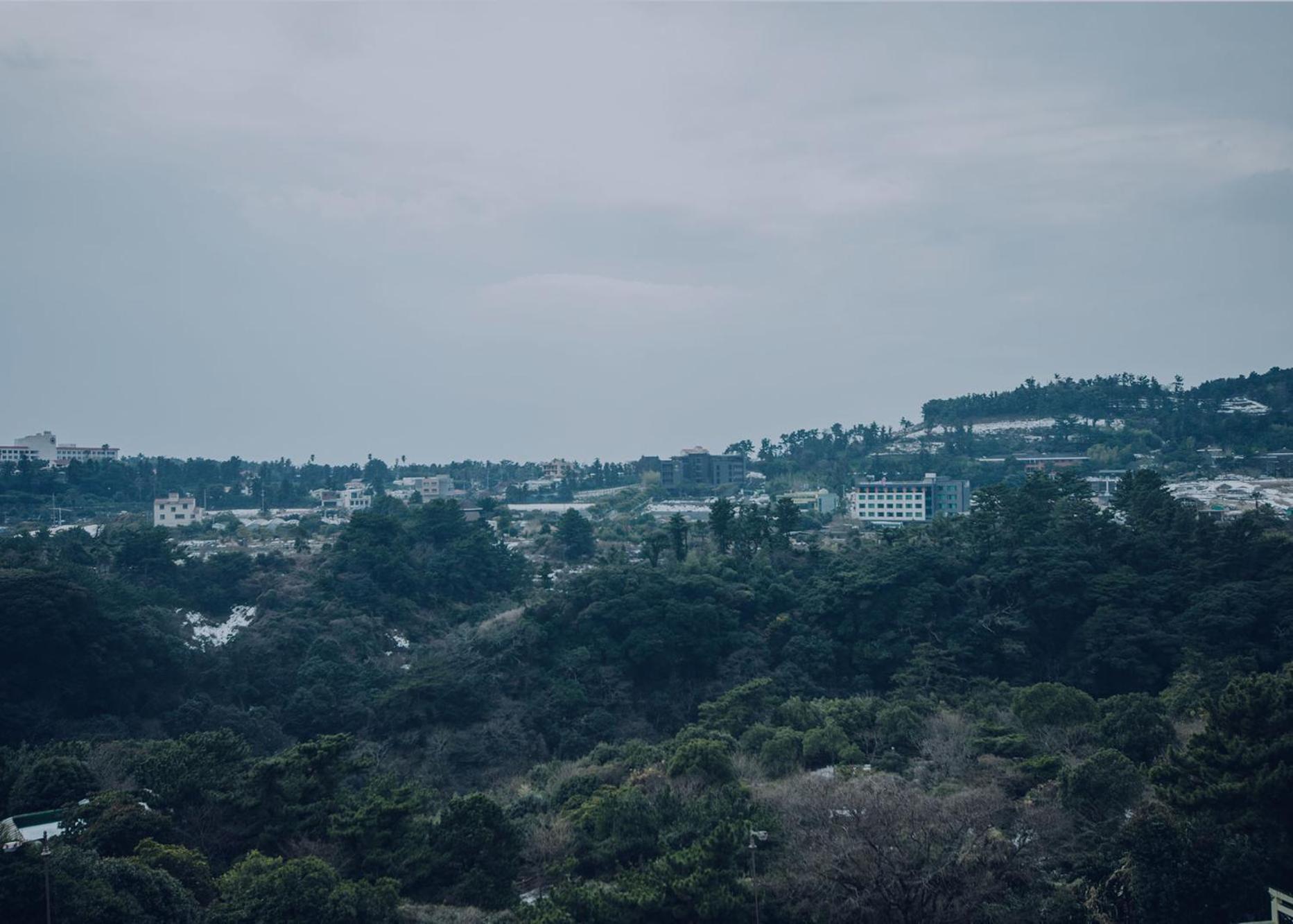סאוגוויפו Jeju Lavender Hotel מראה חיצוני תמונה