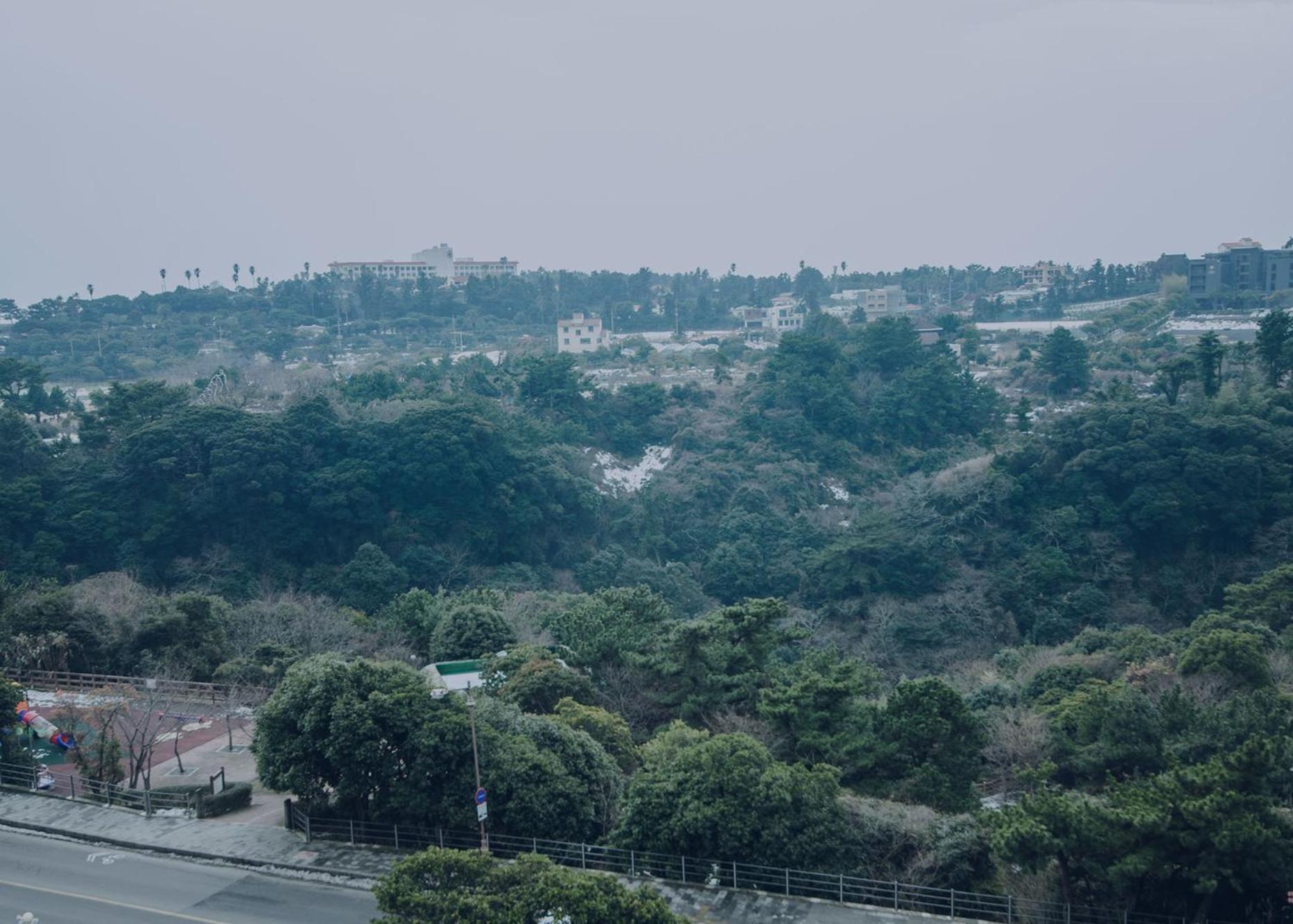 סאוגוויפו Jeju Lavender Hotel מראה חיצוני תמונה